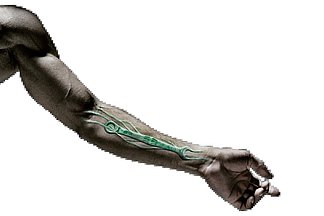 Die Auszeichnung als bester Industriepartner  geht bei Wera „unter die Haut“.